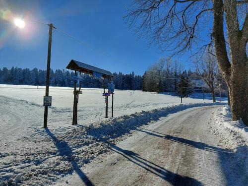 Erzhof Nassau- Gästezimmer an der Loipe (Erzhof Nassau- Gastezimmer an der Loipe) in 弗勞恩施泰因