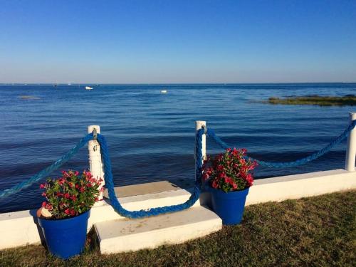 Villa de Mer sur la plage avec piscine - Location, gîte - Lège-Cap-Ferret