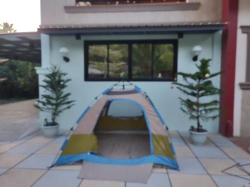 Garden, Magooz Homestay in Davao City