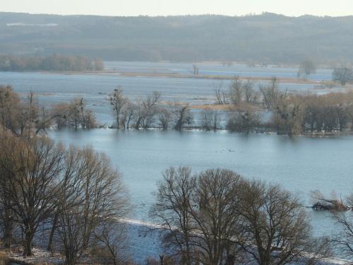 Skats, Kranichruf in Schoneberg (Uckermark)