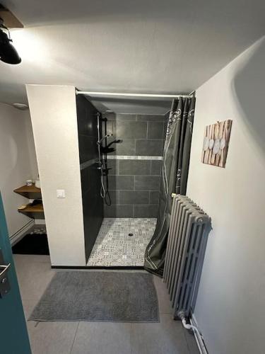 Studio Independant Avec Jardin - Centre