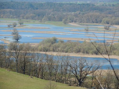 Skats, Kranichruf in Schoneberg (Uckermark)