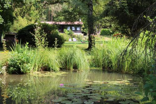 Ferienhaus Naturliebe 6000qm Parkgarten am Wald, umzäunt, Kamin, Sauna