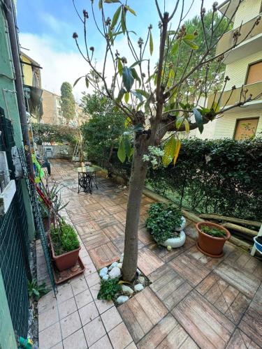 AscoliPicenoApartment171 - Ancona