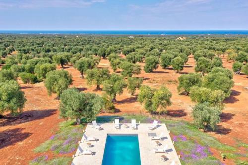 Surrounding environment, Villa Orama Relais By Raro Villas in Villanova