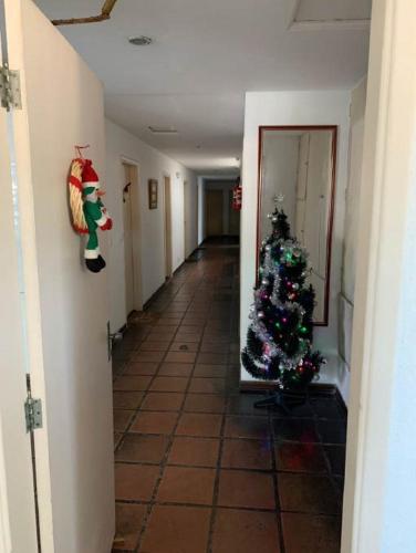 Apartamento 2 Quartos a 5 minutos a pé da Praia da Enseada (Apartamento 2 Quartos a 5 minutos a pe da Praia da Enseada) in Tortuga