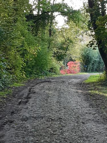 Gite de la Tuilière, calme absolu dans hameau protégé