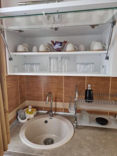 ห้องครัว, Apartman Aleksa in เชลเยซนิชโก นาเซลเย