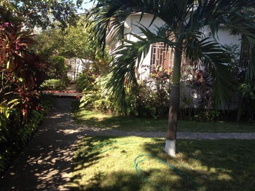 Omgivningar, Kingston Airport bed and breakfast in Kingston