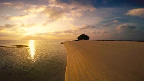 Uitzicht, Annama Lodge And Dive in Haa Alif Atoll