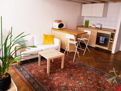 Cozy studio in central Budapest near ruined bars Room Type - One-Bedroom Apartment