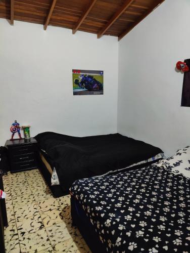 Apartamento Mayorcanight