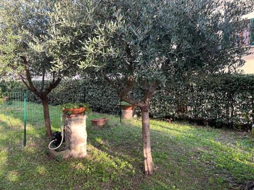 La Casa di Claudia, Florencie (fotografie 10)