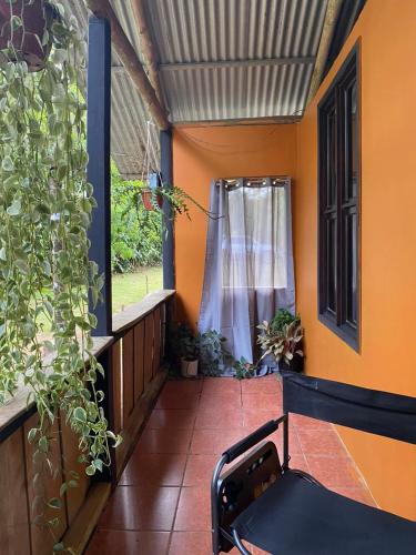 Cabinas Corcovado Green Parrot, Los Planes Drake in Los Planes