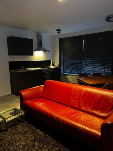 Budget Flex, Geel (Foto 4)