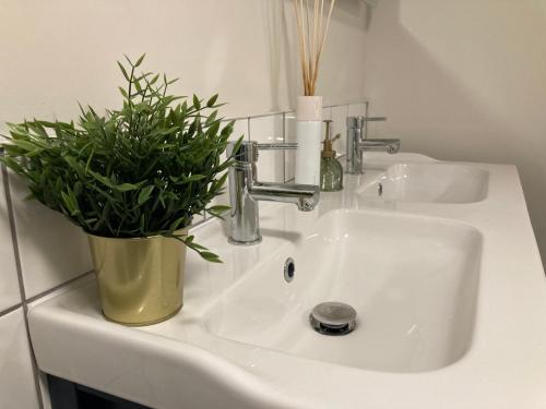 Fürdőszoba, Smart 4K TVs in all bedrooms double vanity sink in Bloomfield