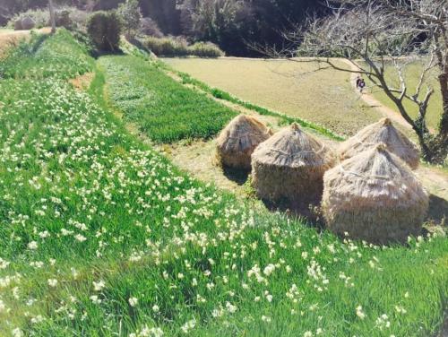 【南房テラス】180度パノラマオーシャンビュー絶景を楽しむリゾート別荘の家