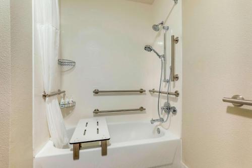 Mobility Accessible Guestroom King Tub