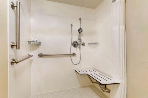 Mobility Accessible Executive Suite King Roll-In shower