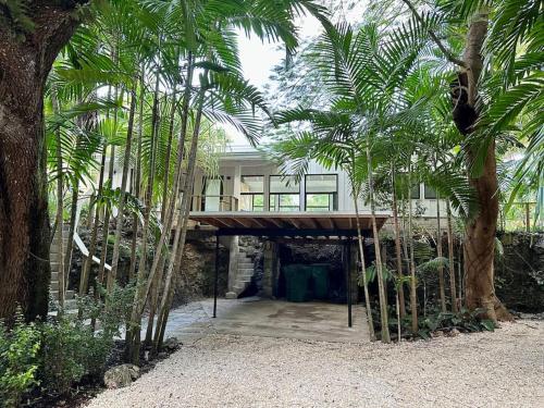 Coconut Grove Mid-Century Jungle Oasis