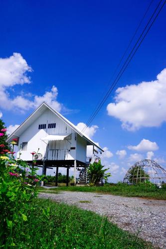 Exterior view, The 99 Cottage (บ้านทุ่งบางปลาม้า) in Bang Pla Ma