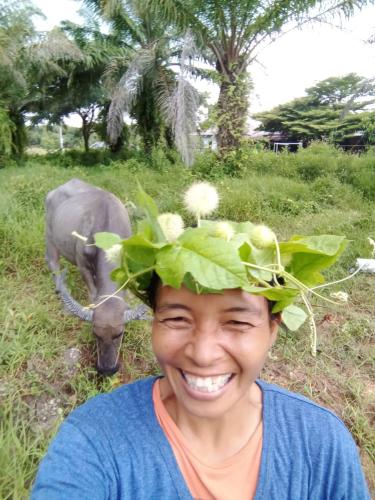 ปารมีฟาร์มสเตย์ in Haadson Beach