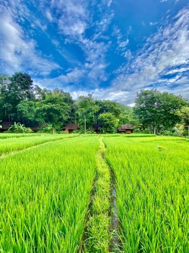 Fern Resort Mae Hong Son