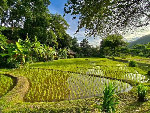 Fern Resort Mae Hong Son