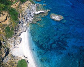 Pansion Platana Pansion Platana