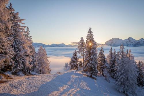 518764427 Park Hotel Sonnenhof - Relais & Châteaux