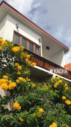 คชา เชียงราย (Kacha)