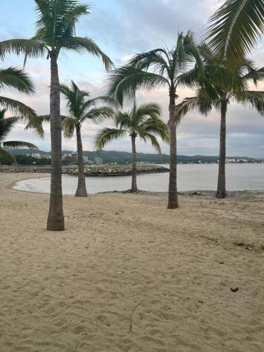 Villa Gardens, Beach Front Santuarios de la bahia in Nuevo Vallarta , Mexico
