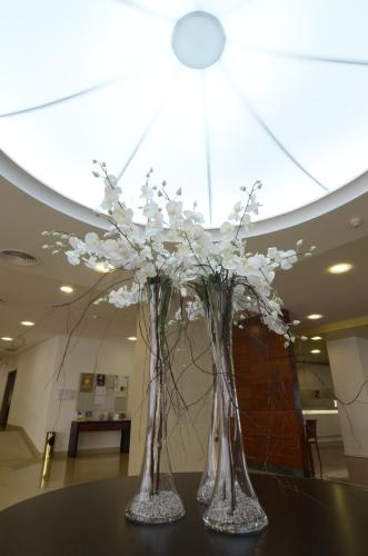 Hotel Cinquentenario & Conference Center - image 5