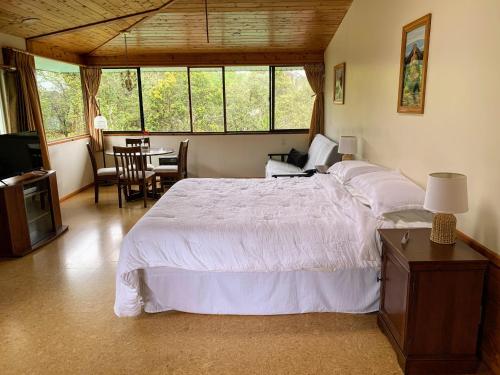 Volcano Inn Bed n Breakfast