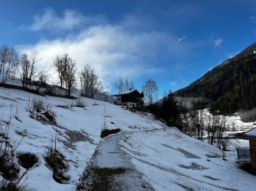  Chalet Carpe Diem in Fieschertal