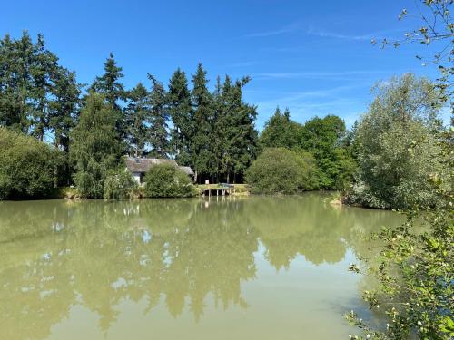 Cottage du Diot, son lac et son île