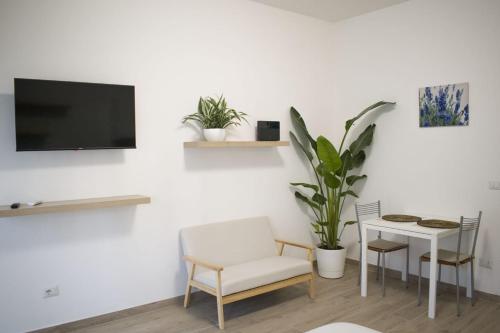 Maison 37, Cremona