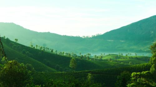 Munnar Valley View