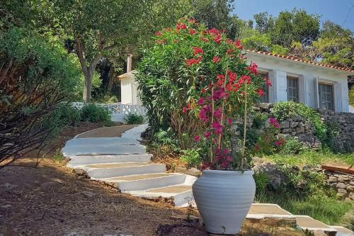 Katafygio, hillside hideaway in Skiathos