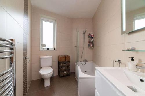 Deluxe Camden Apartment, Londýn (fotografie 3)