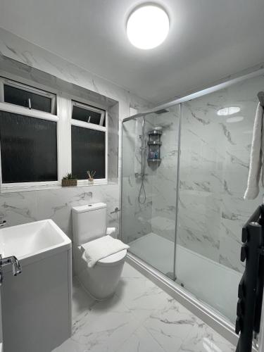 Deluxe Kings Cross Apartment, Londýn (fotografie 10)