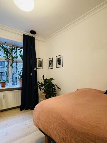 ApartmentInCopenhagen Apartment 1584, Copenhague (foto 7)