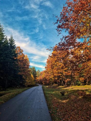 Skrawek Nieba Mostki Skrawek Nieba Mostki