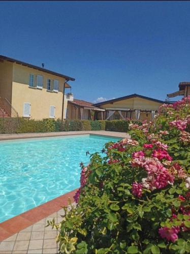 Apartment Dragonfly - garden and pool - Manerba del Garda