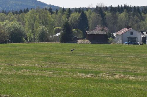 Charming renovated seventeenth century cottage in Ludvika