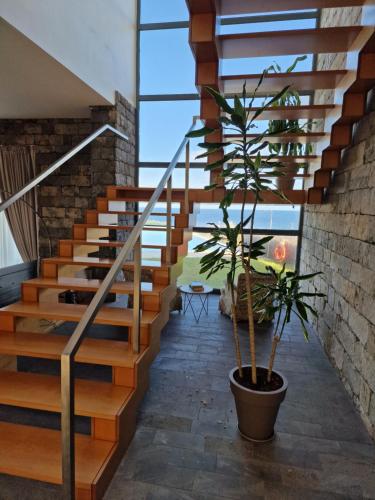 São Vicente Lodge - Panoramic Retreat - image 9