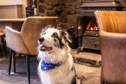 The Waddington Arms in Clitheroe