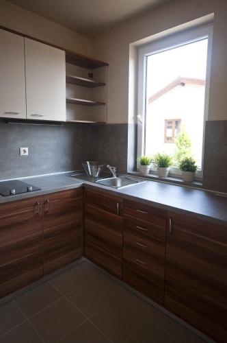 Kitchen, Pandora Zsory Apartmanok Mezokovesd in Mezokovesd