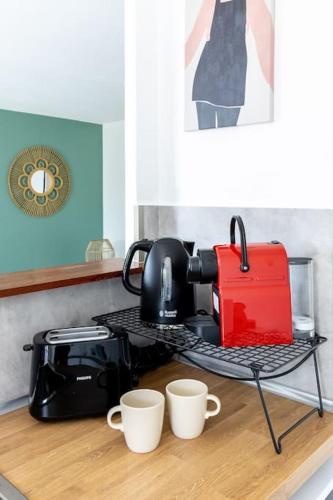 Beautiful apartment with terrace + private parking, Toulouse (photo 4)