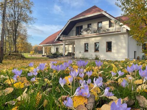 B&B Łukta - Ataraxia-Gledy - Bed and Breakfast Łukta